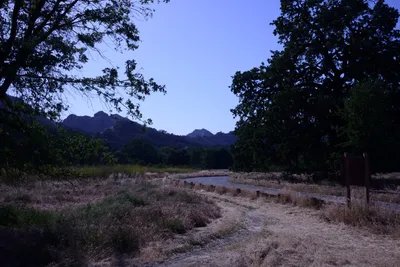 DSC_2071 (Large).JPG